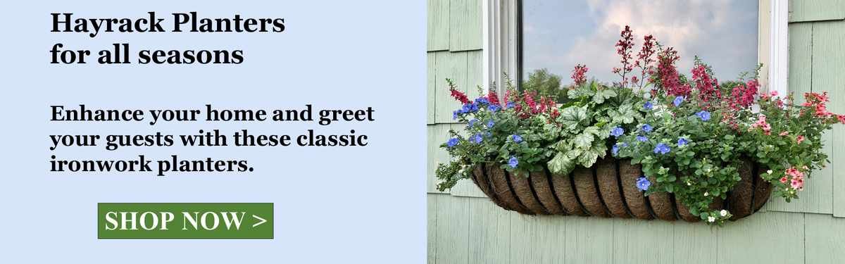 Kinsman Garden or MIgardener? Here's What Each Does Best
