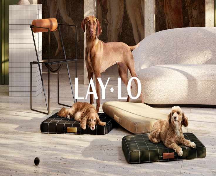 Discovering Lay Lo: The Stylish Dog Bed Revolution