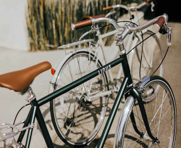 Linus vs the Rest: Which Bicycle Brand Actually Wins?