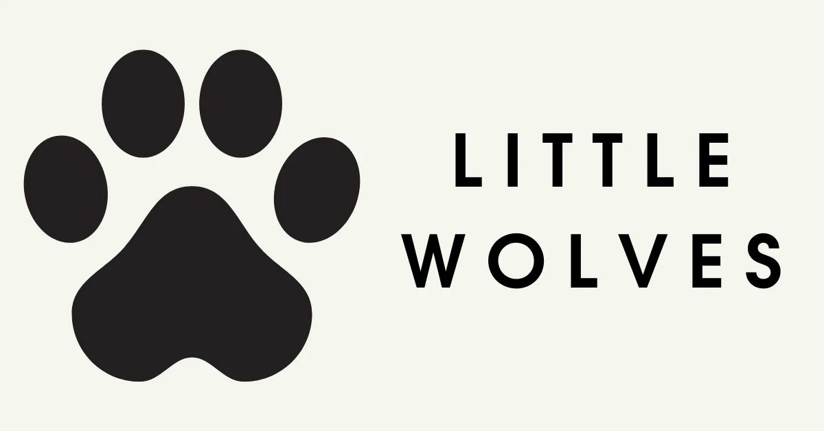 Navigating the Pet Products Boom: What’s Hot Right Now