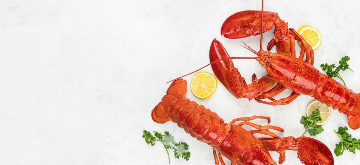The Quiet Rise of Lobster Boys: Sustainable Seafood Delivered