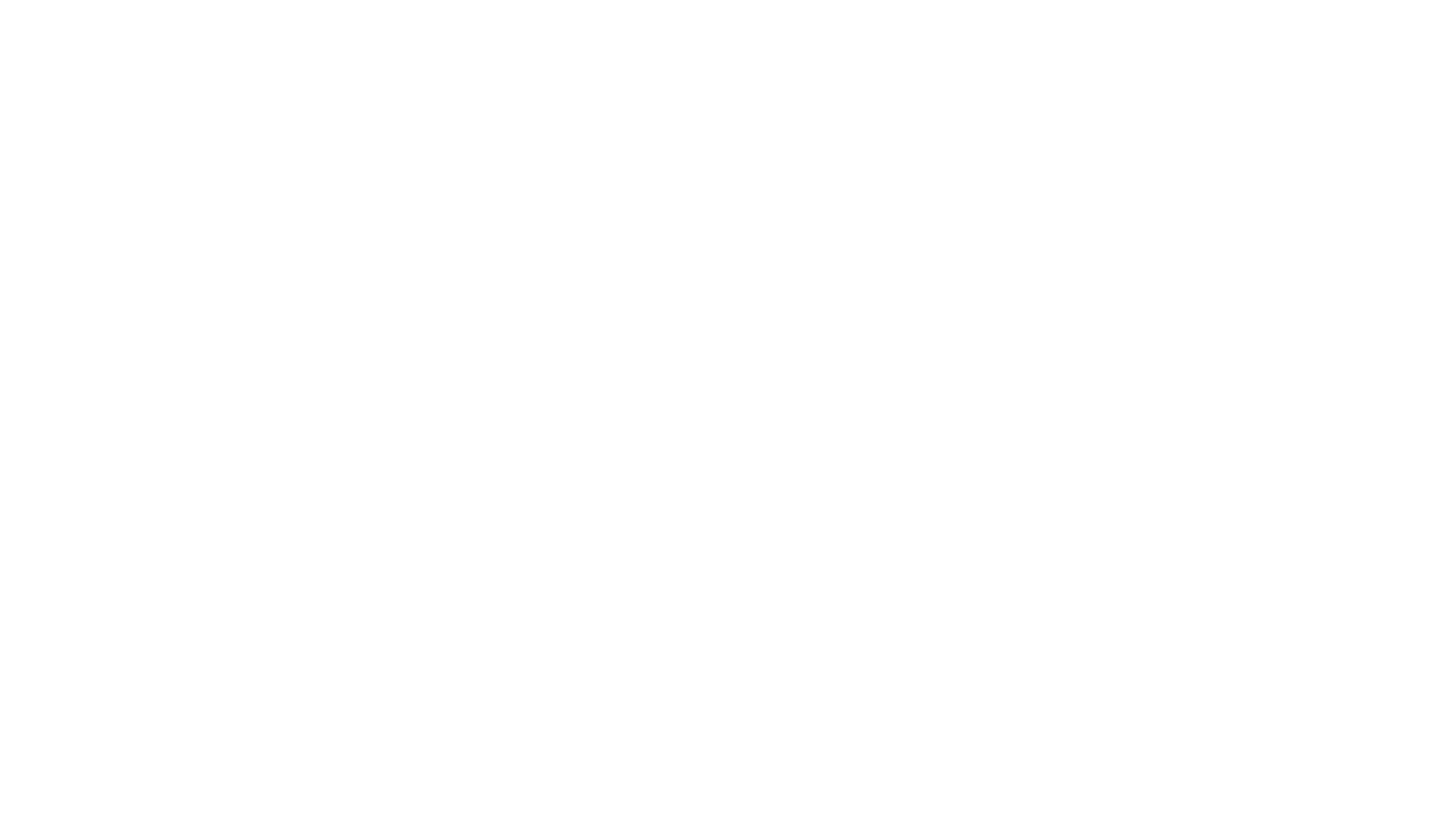 Exploring the Allure of Miche Beauty: A Journey into Curly Haircare