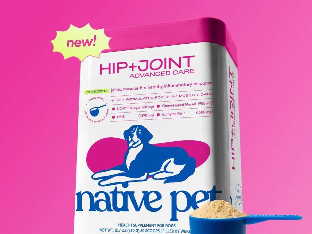 Exploring the Shift in Pet Care Products This Year