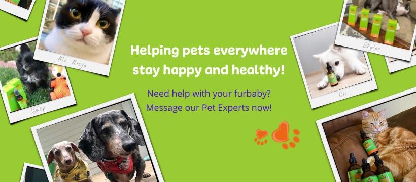 The Natural Healing Touch: NHV Natural Pet Products