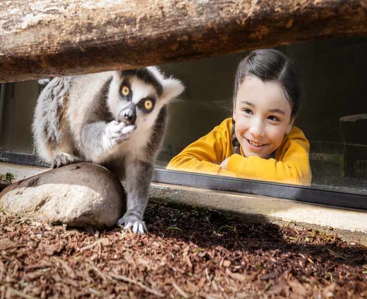 Exploring the Oregon Zoo: A Sanctuary of Wonders