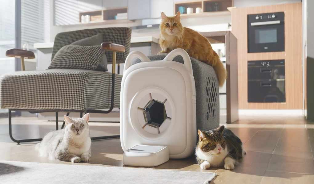 The Honest Take on PawSwing (From Someone Who Shops It)