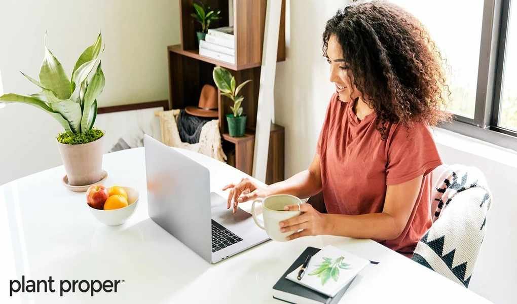 Picking Between Plant Proper and Its Closest Rivals