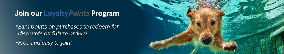 The Backyard Revolution: Pool Supply Brands to Know in 2026