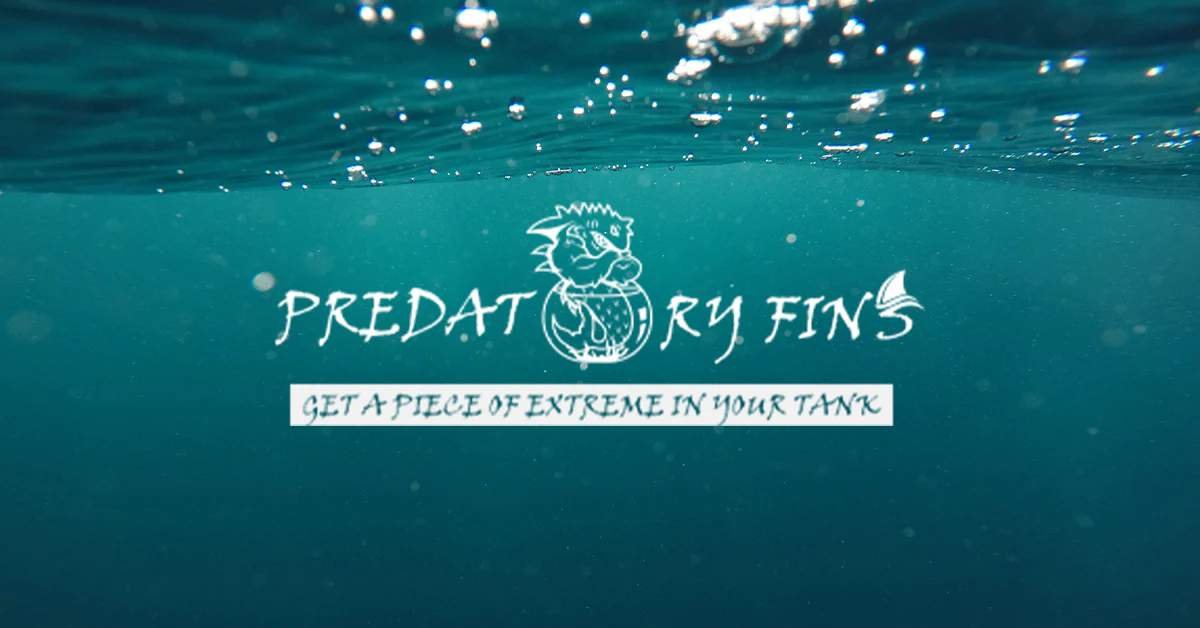 Exploring Predatory Fins: A Deep Dive into Exotic Aquatic Pets