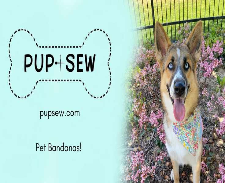 Unraveling the Charm of PupSew's Unique Pet Accessories