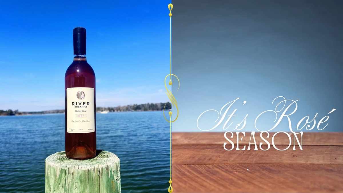 12 Simple Ways to Enhance Your Routine with River Organics