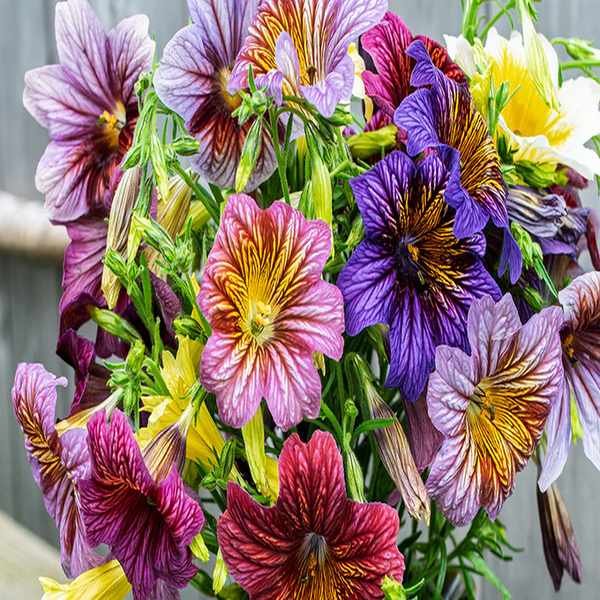 12 Smart Moves for Shopping Select Seeds