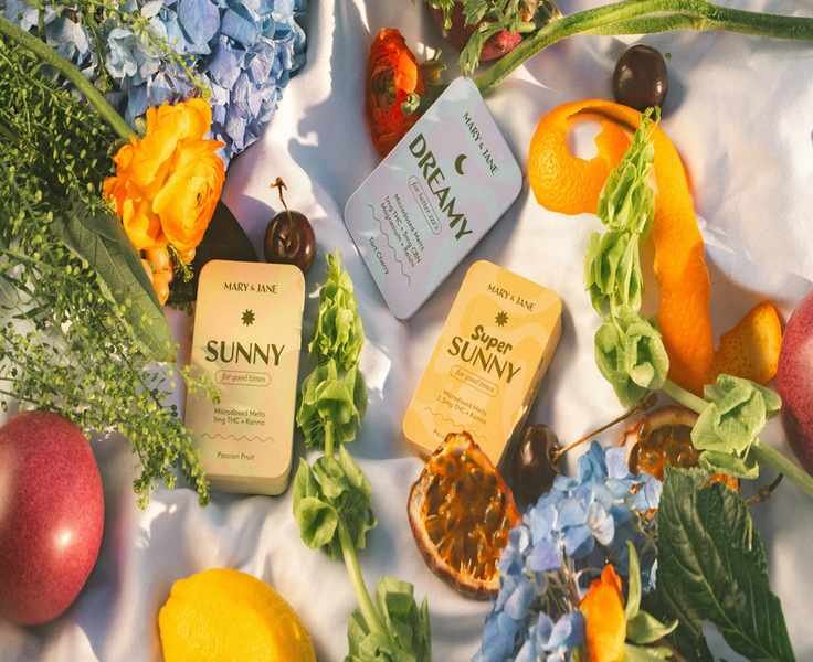 A Glimpse Into MARY & JANE: My Journey with Microdosing