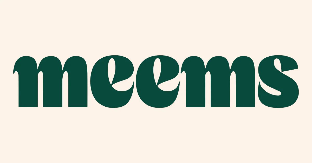 A Few Days With Meems: What I Learned About Their Style