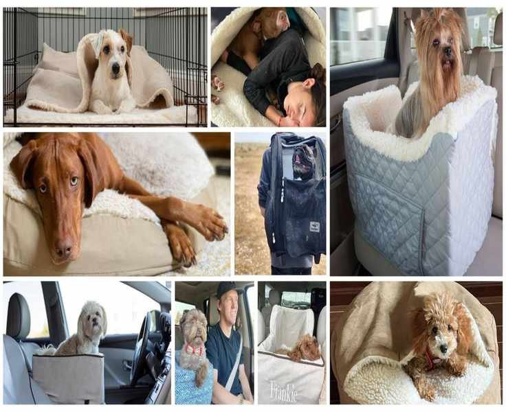 14 Smart Moves for Shopping Snoozer Pet Products