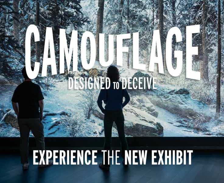 Espionage Experiences: Engaging Attractions to Explore This Year
