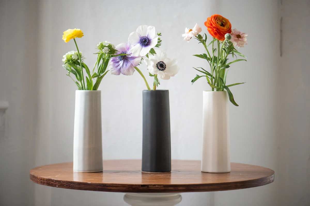 Exploring the 2026 Home Decor Scene with The Bright Angle