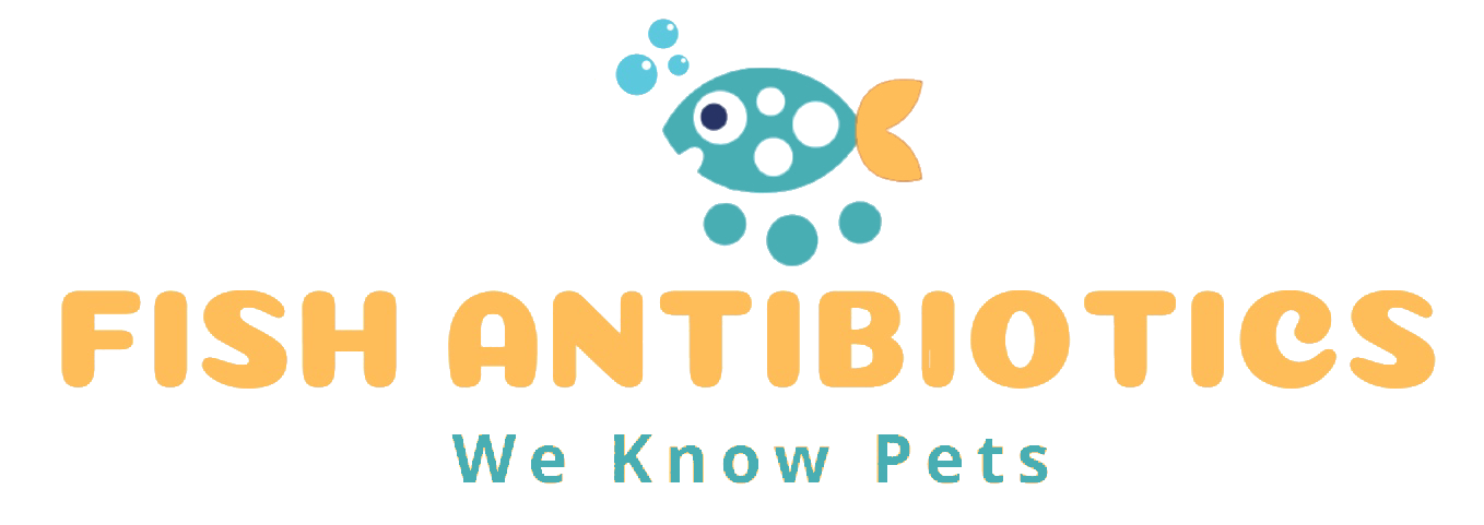 Navigating the World of Fish Antibiotics: A Deep Dive