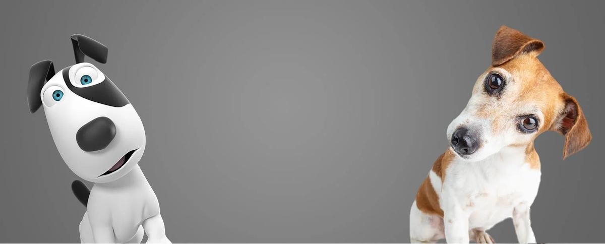 12 Ways to Help Your Pet with Thundershirt