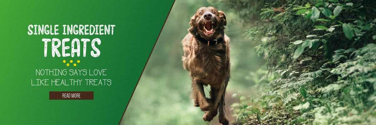 TickledPet 2026: A Buyer's Reality Check