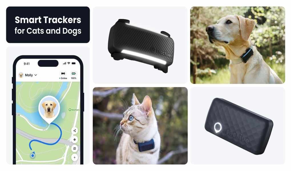 Picking Between Tractive and Its Closest Rivals