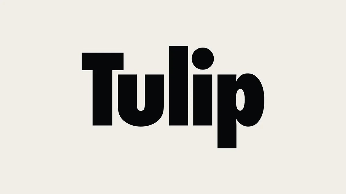 Tulip Shades 2026: A Buyer's Reality Check