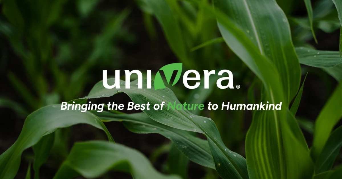 Univera 101: 12 Buys + Saving Plays Worth Trying