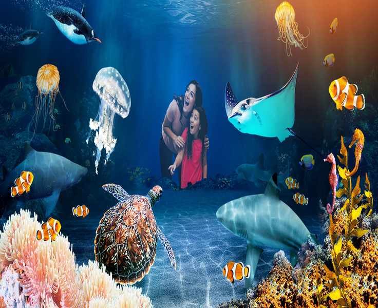 12 Smart Moves for Shopping Sea Life
