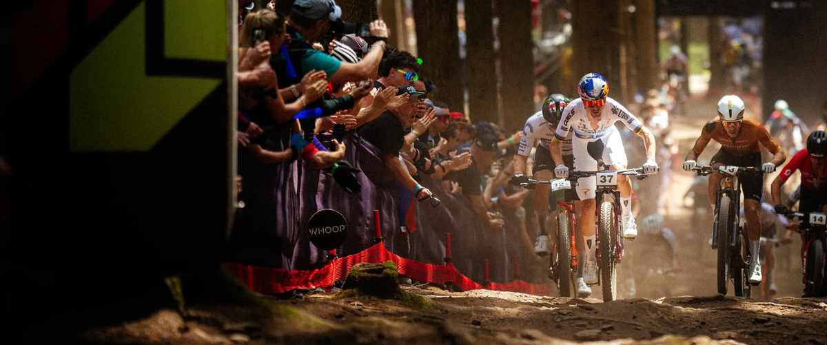 Choosing Between Vittoria and Its Main Competitors in Biking