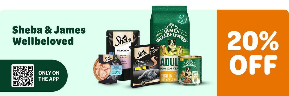 The Real Benefits of Shopping at Zooplus: A Pet Parent's Guide