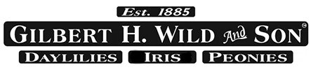 Gilbert H. Wild