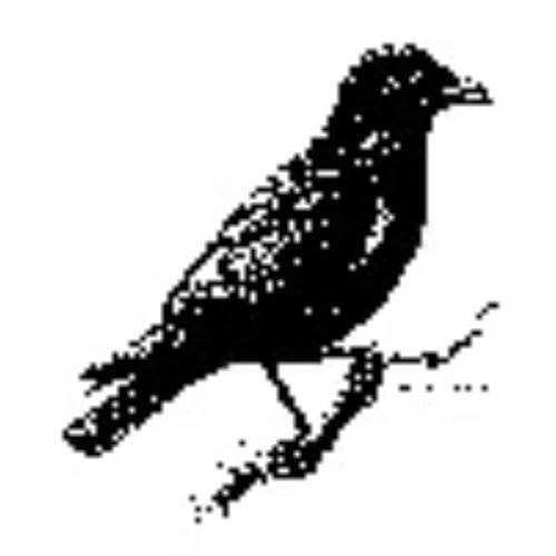 J. Crow's