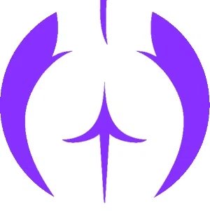 The Buttress Pillow logo