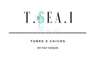 T.SEA.I